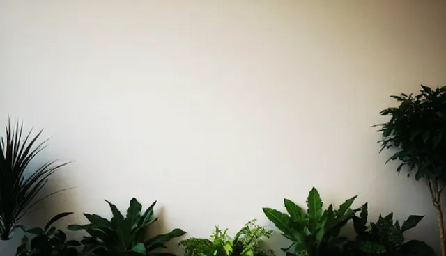 技术研究中选型关注点对结果的影响